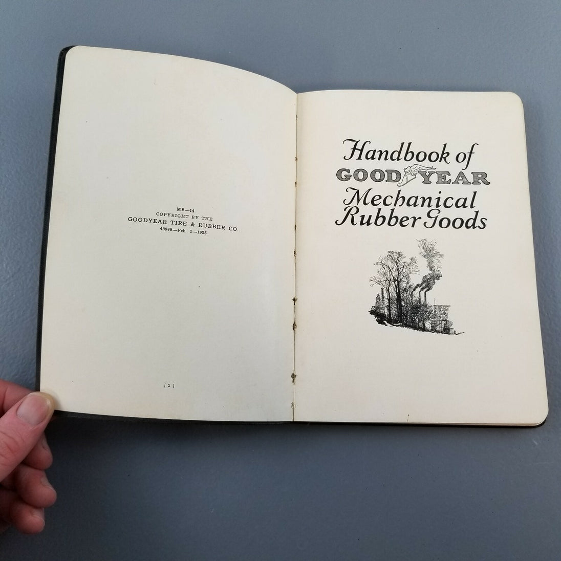 Image #4