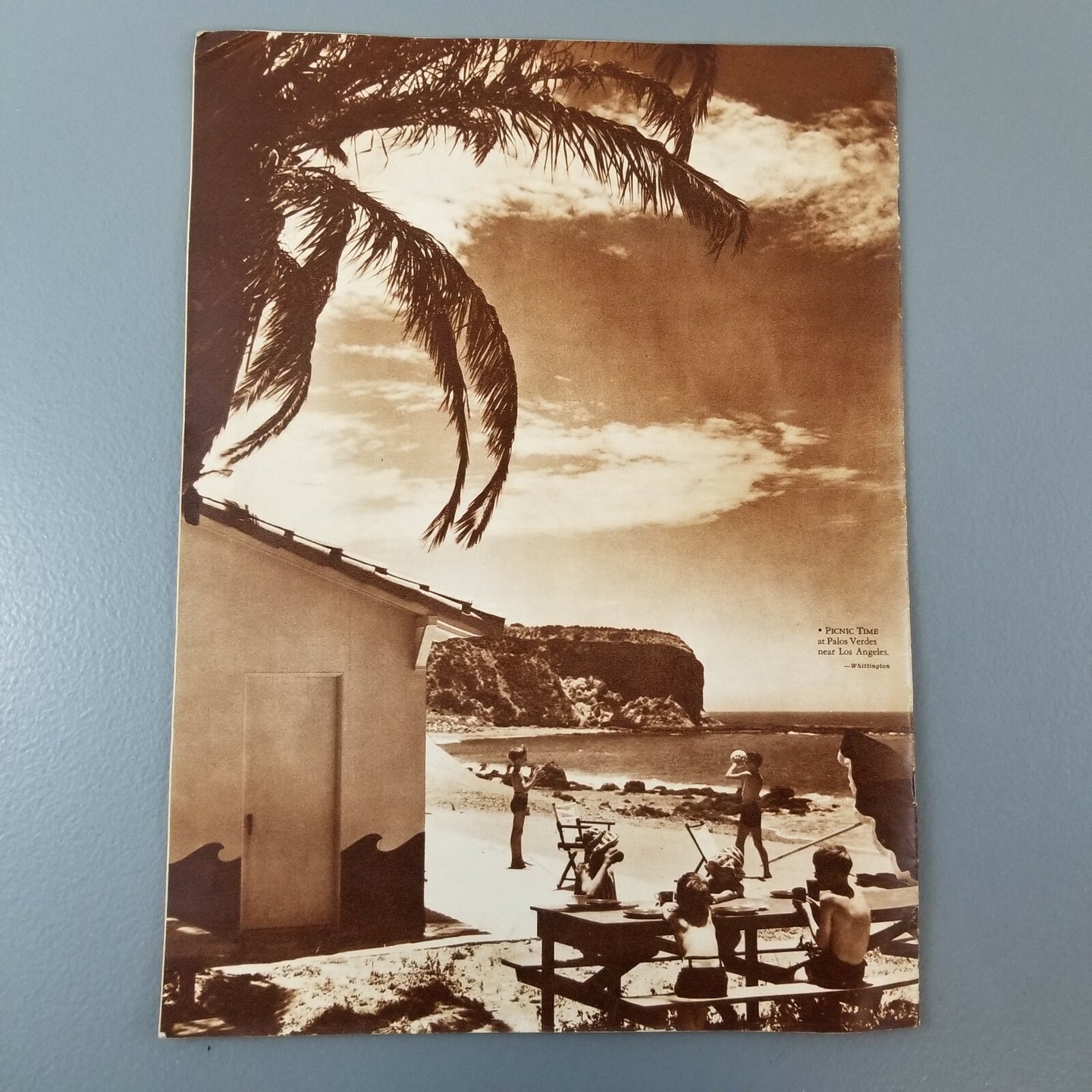 Image #9