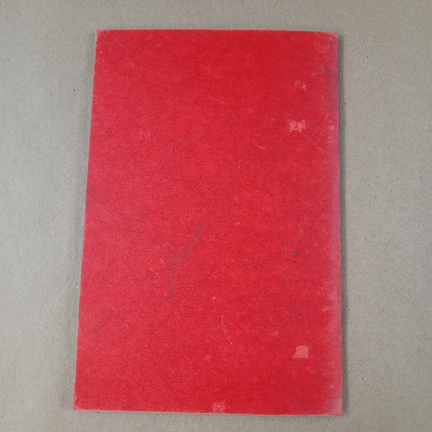 Image #8
