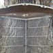 Image #16