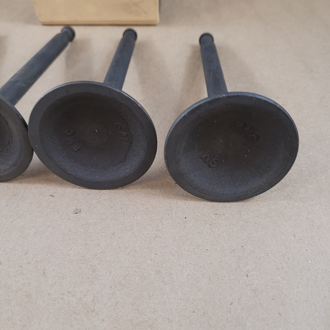 Image #5