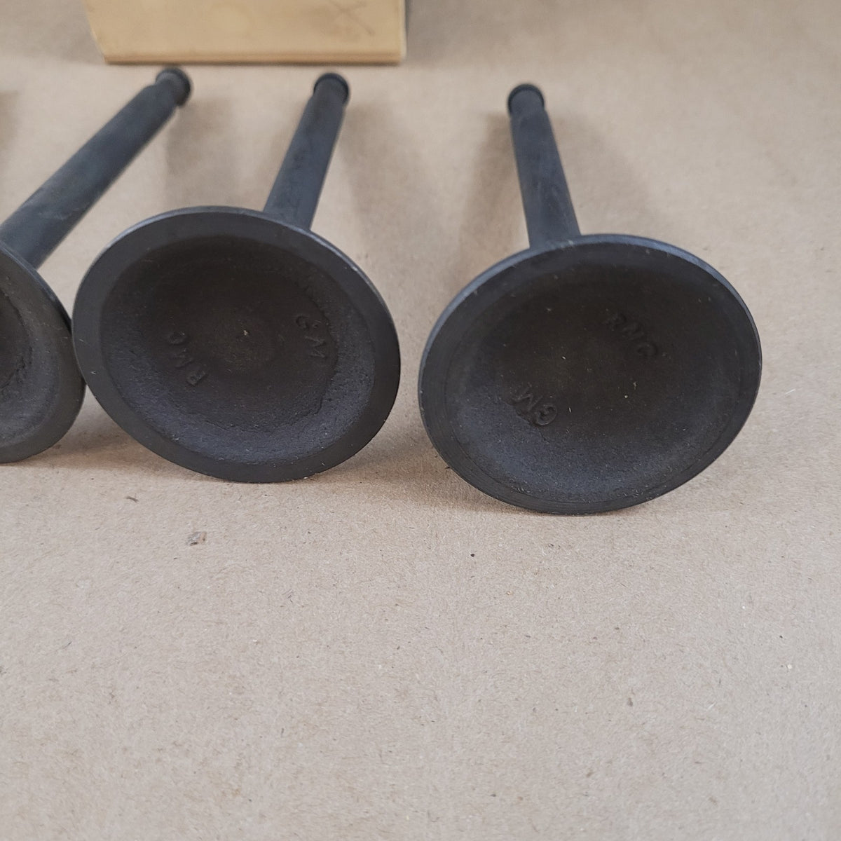 Image #5