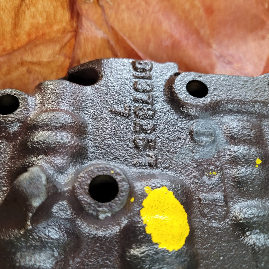 Image #4