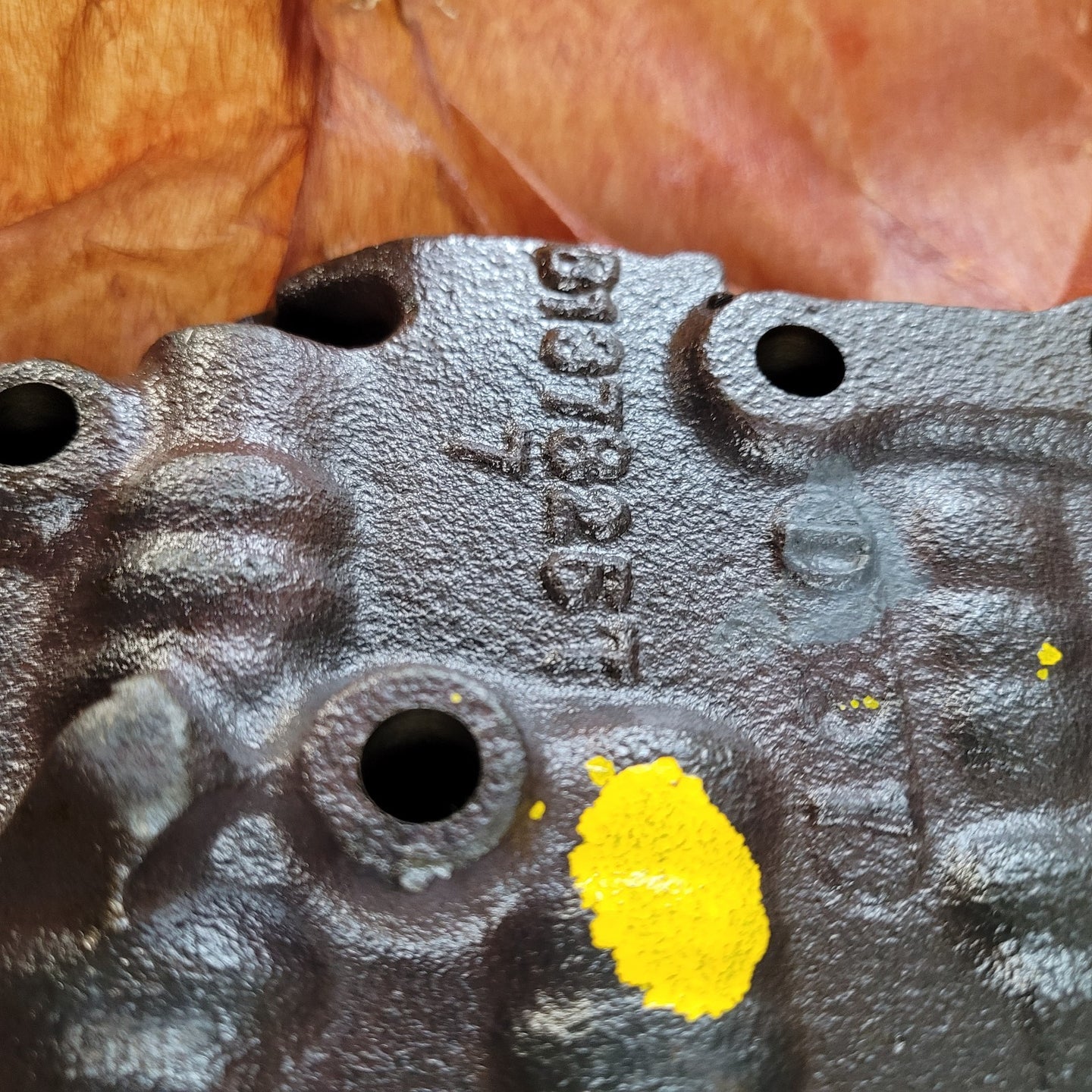 Image #4
