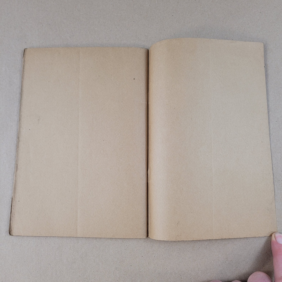 Image #7
