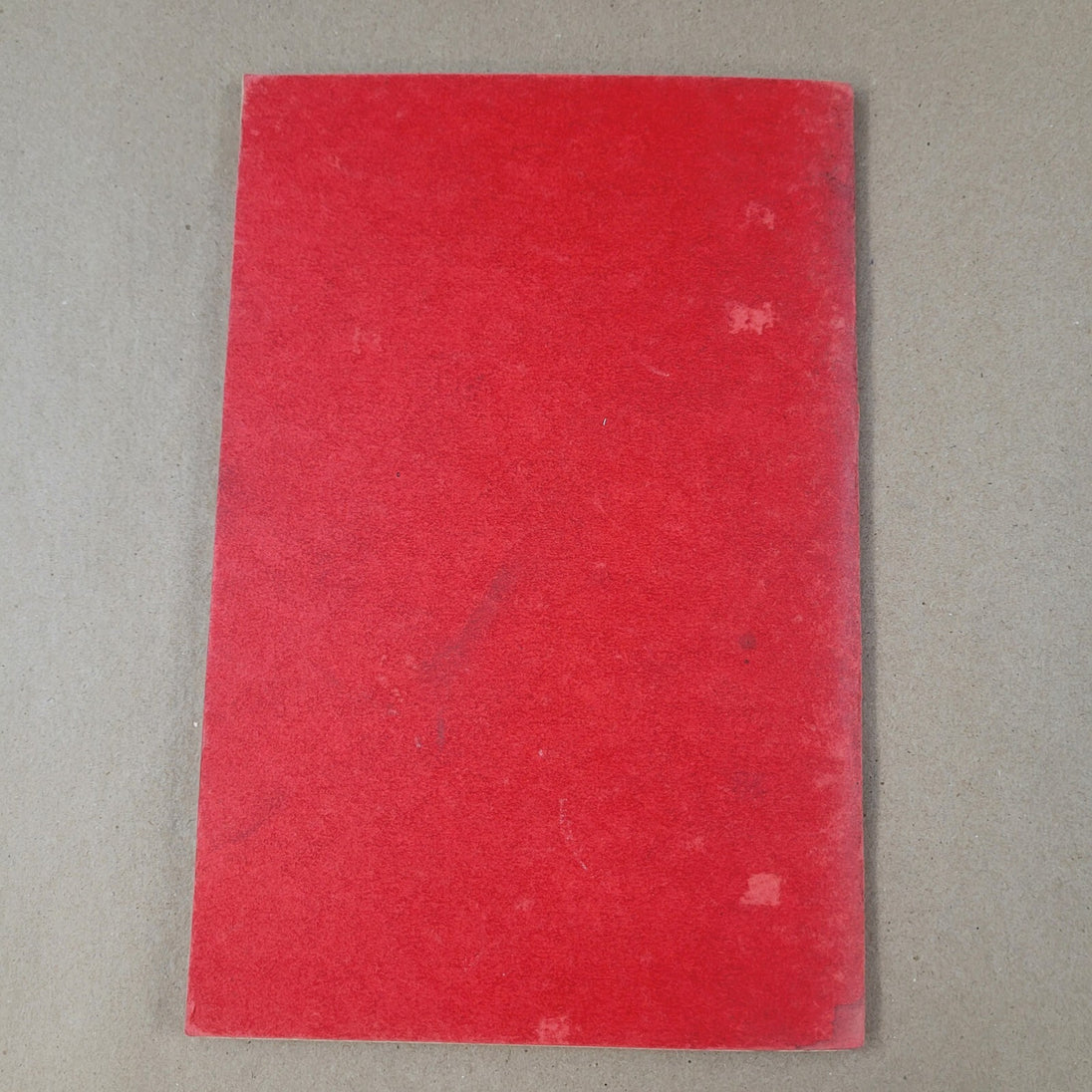 Image #8