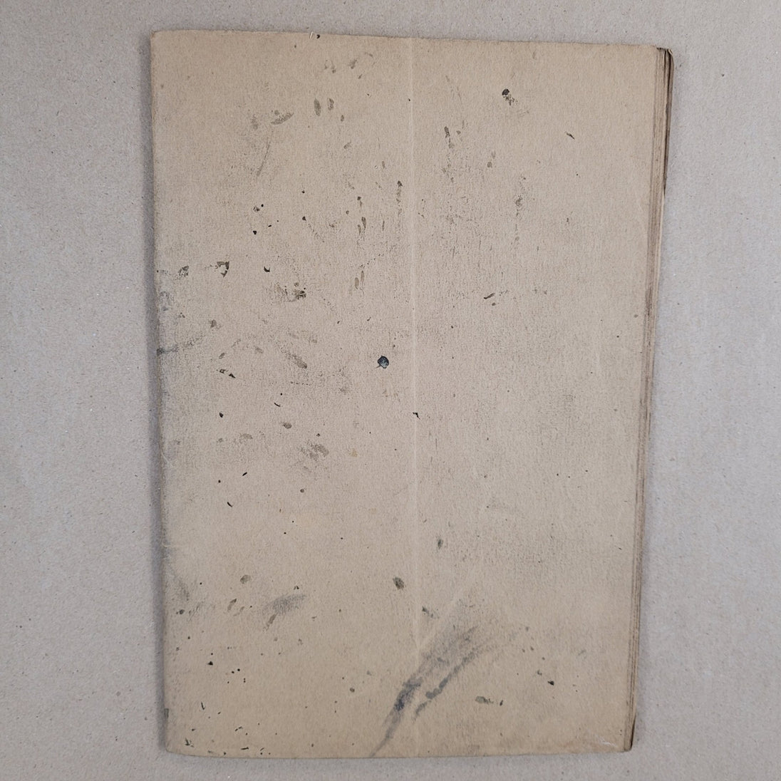 Image #8