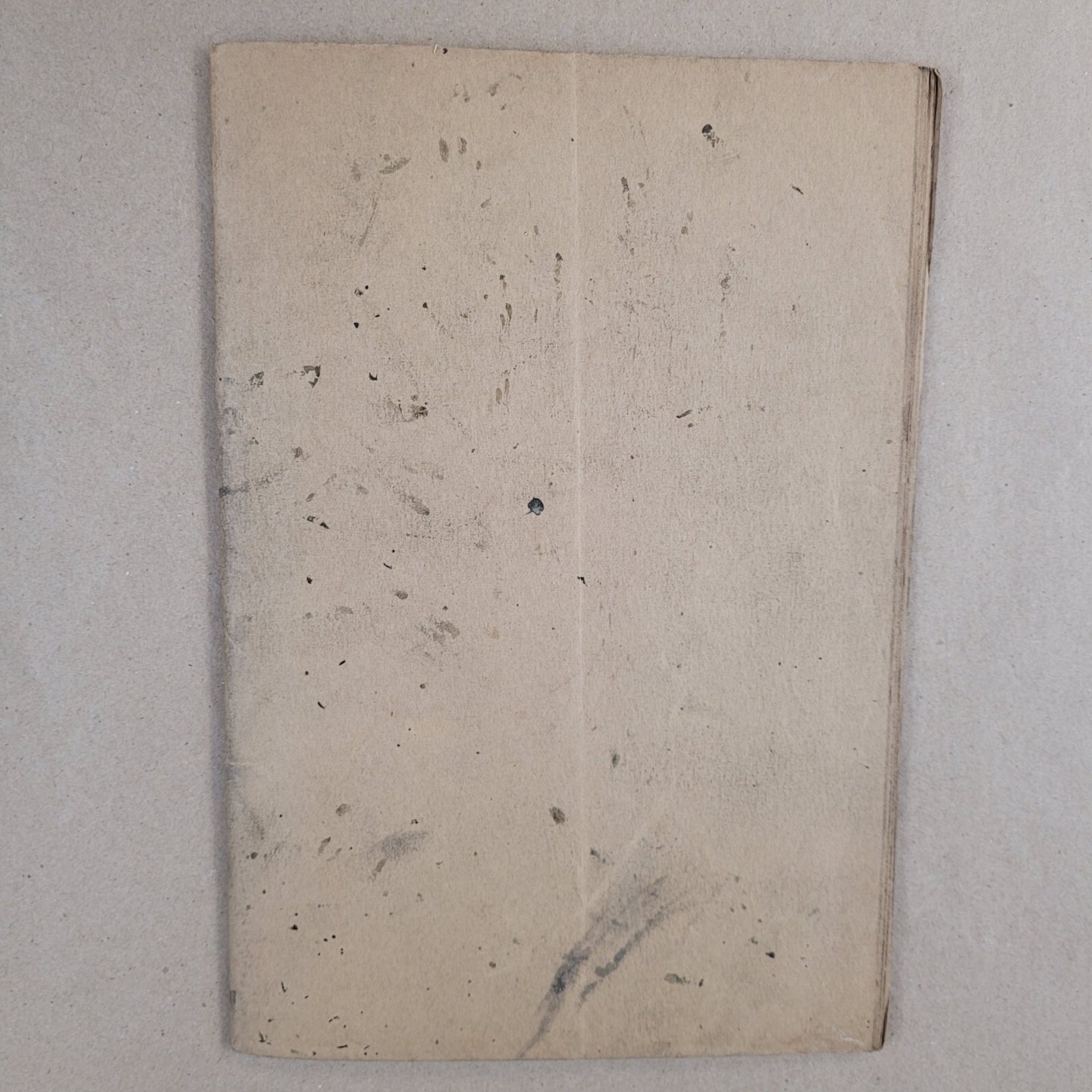 Image #8